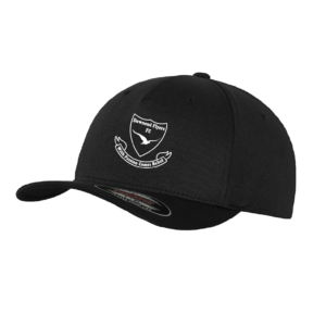 Flex-Fit Cap